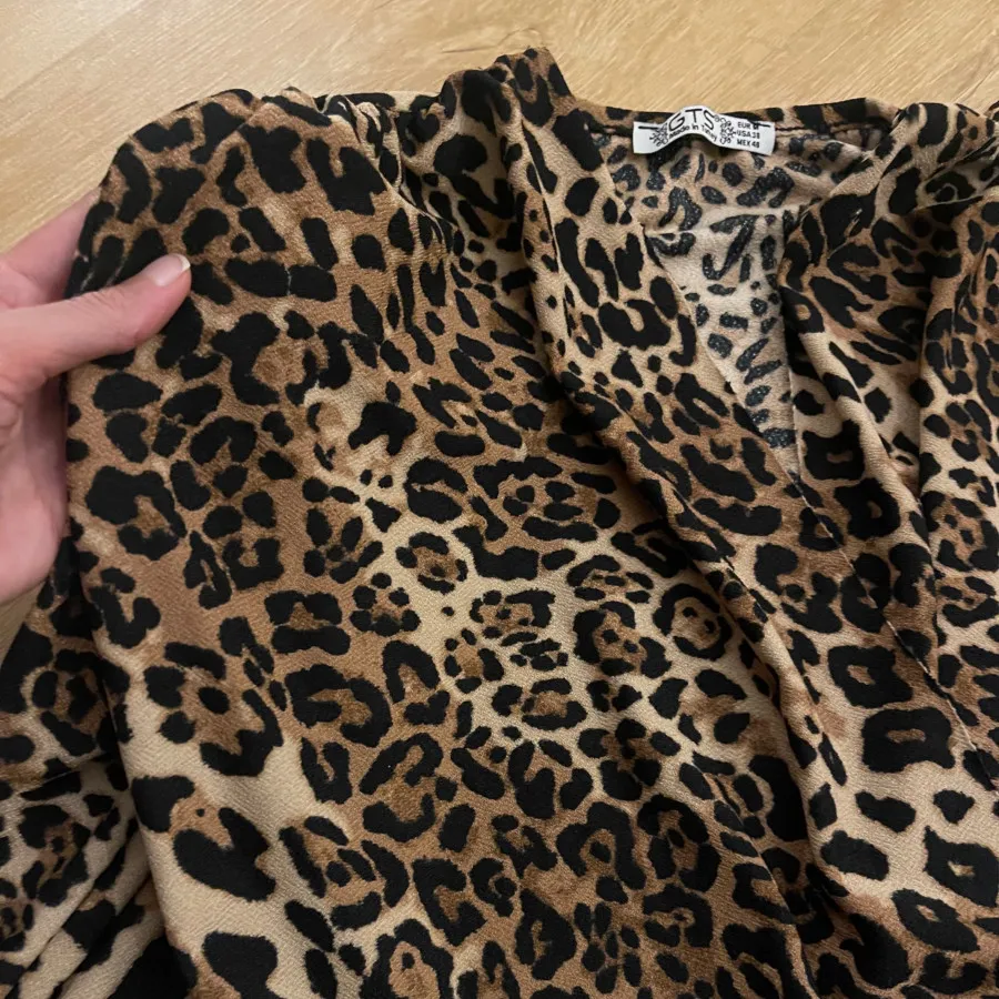 بادی طرح ببری