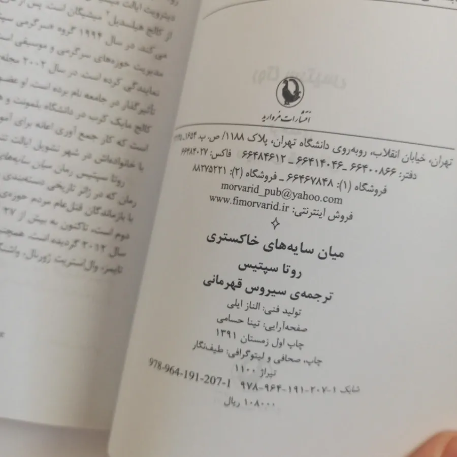 میان سایههای خاکستری