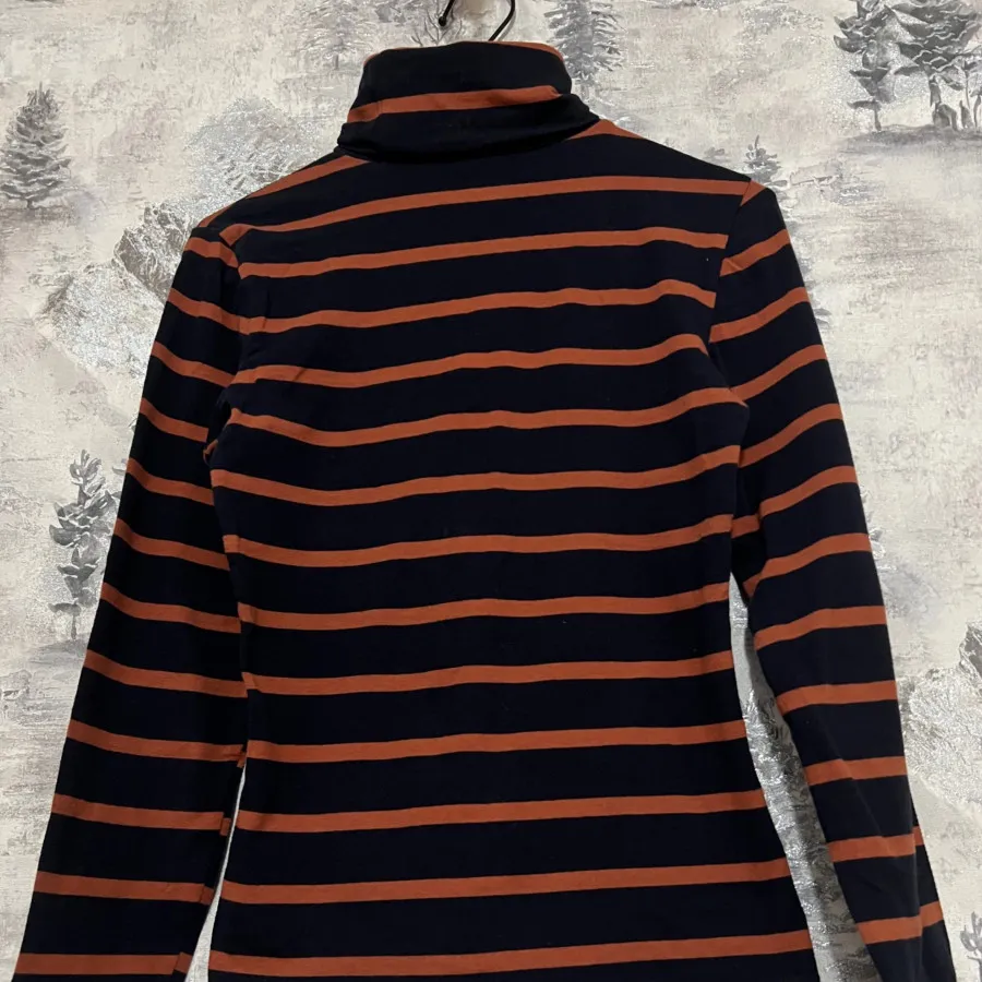 بولیز یقه اسکی