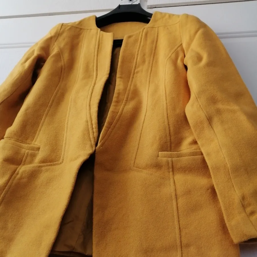 پالتو کتی وارداتی خردلی