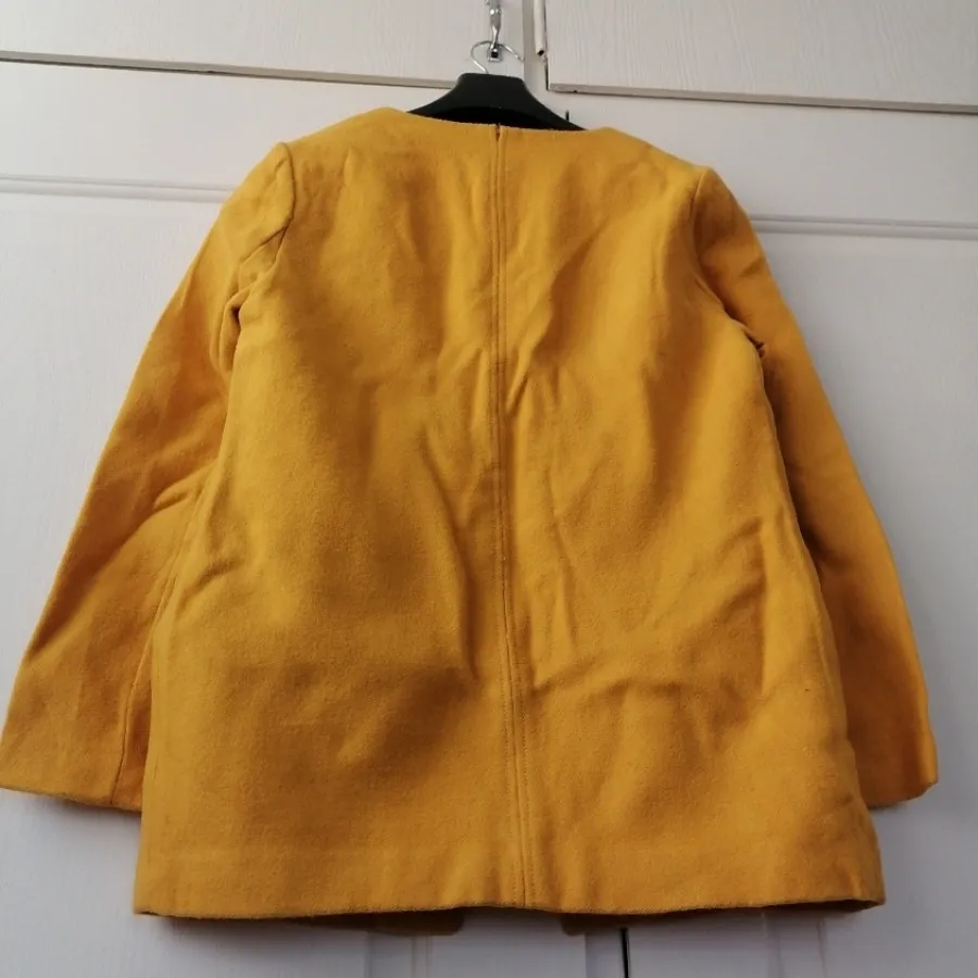 پالتو کتی وارداتی خردلی