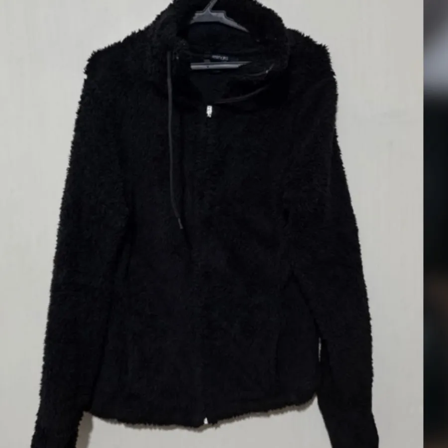 هودی تدی المانی