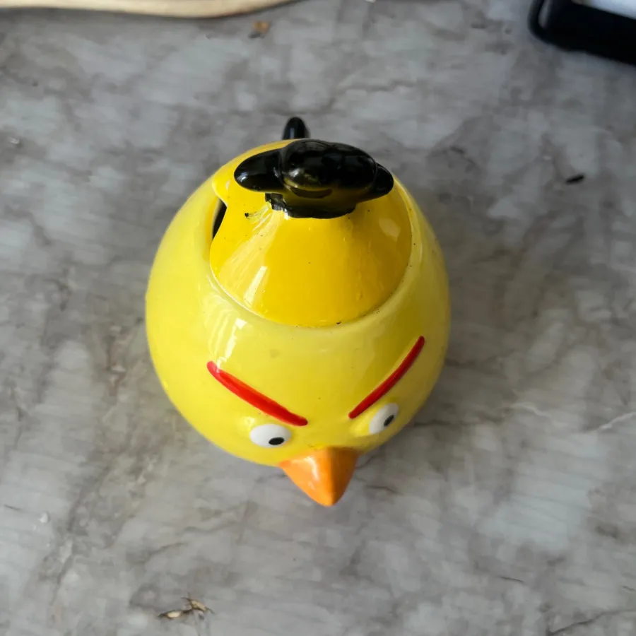 جاشکری انگیری بردز