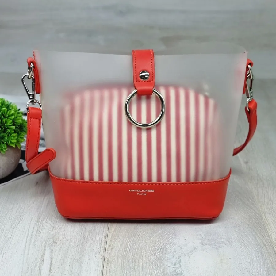 کیف  دیوید جونز