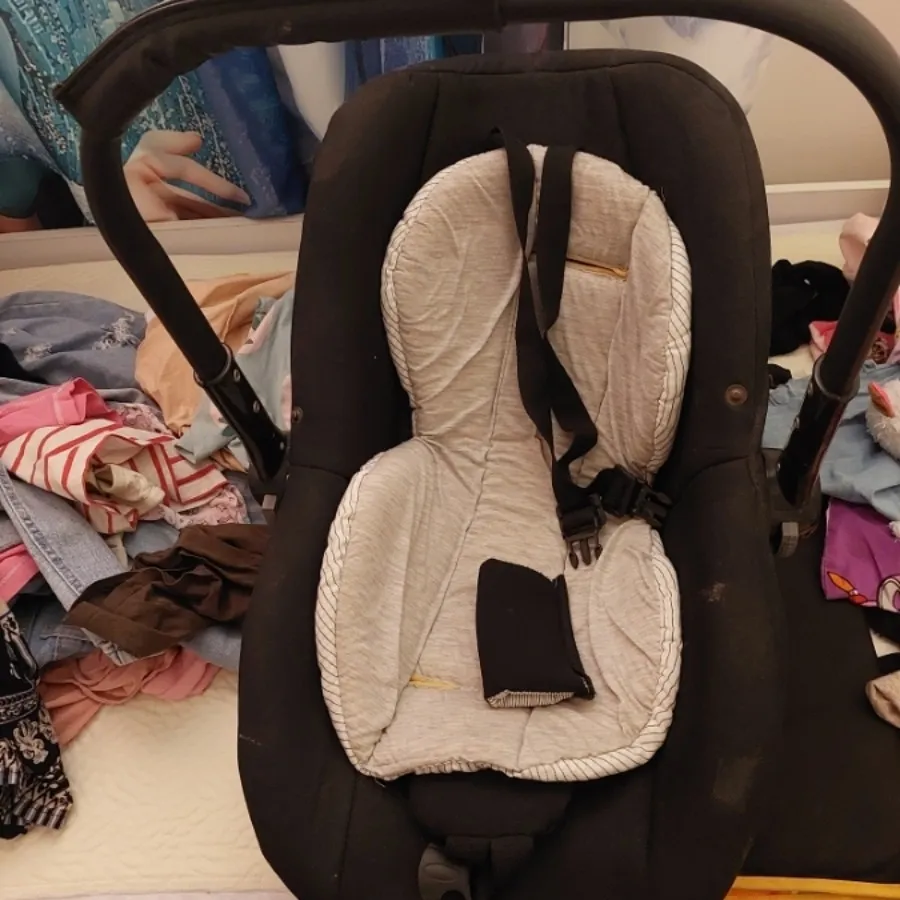 کریر دلیجان