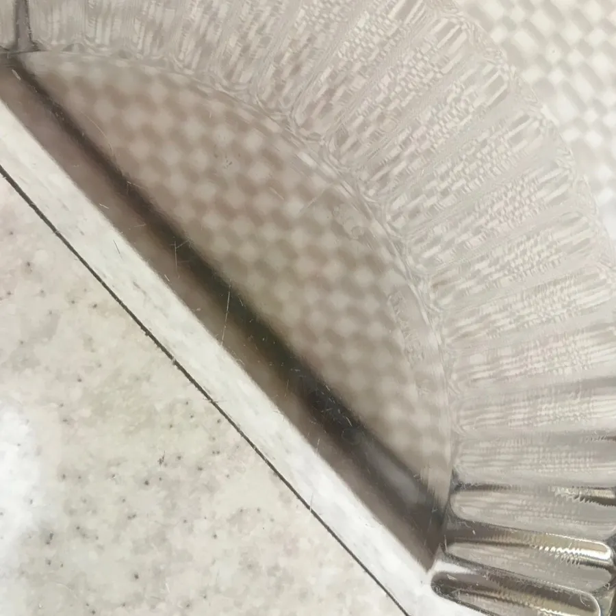 دیس ارک فرانسه