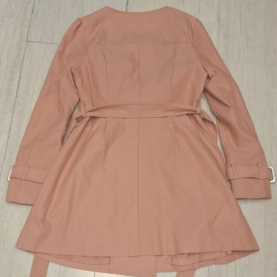 بارونی گلبهی باآستر