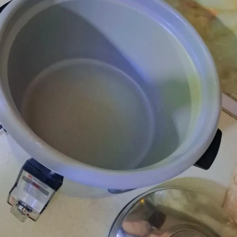 پلوپز ناسیونال