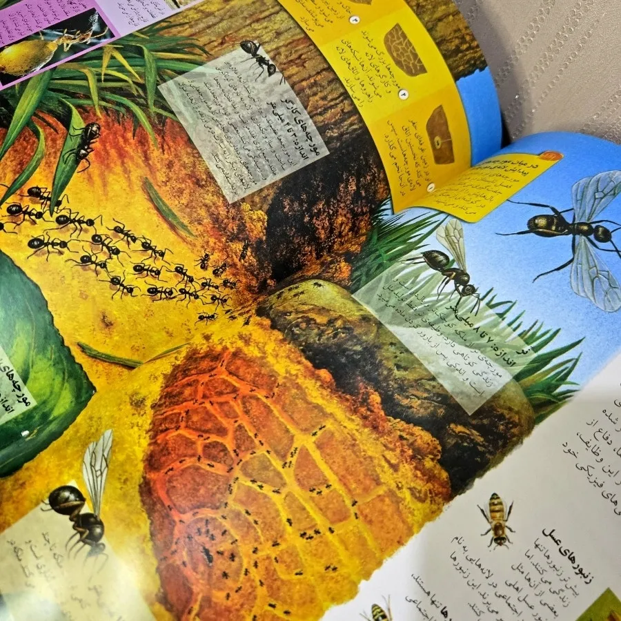 دایرةالمعارف جانوران مرجع