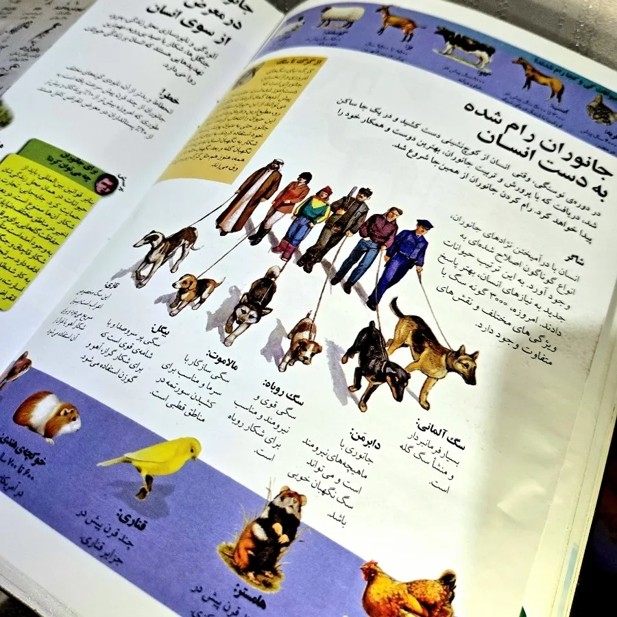 دایرةالمعارف جانوران مرجع