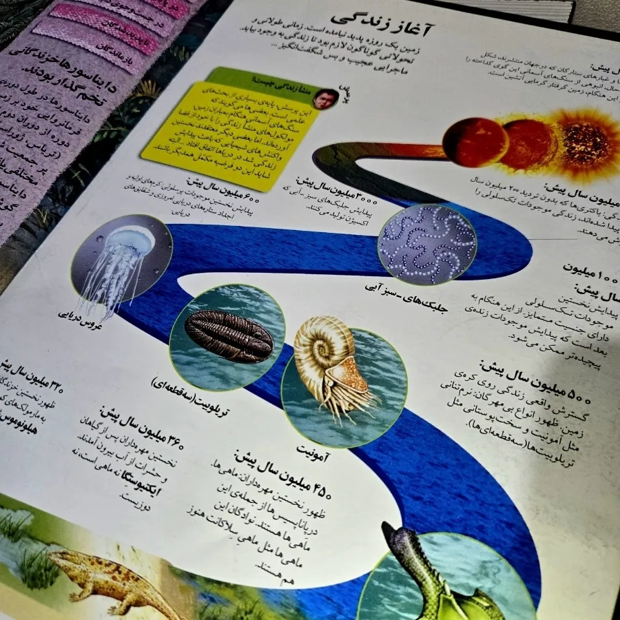 دایرةالمعارف جانوران مرجع