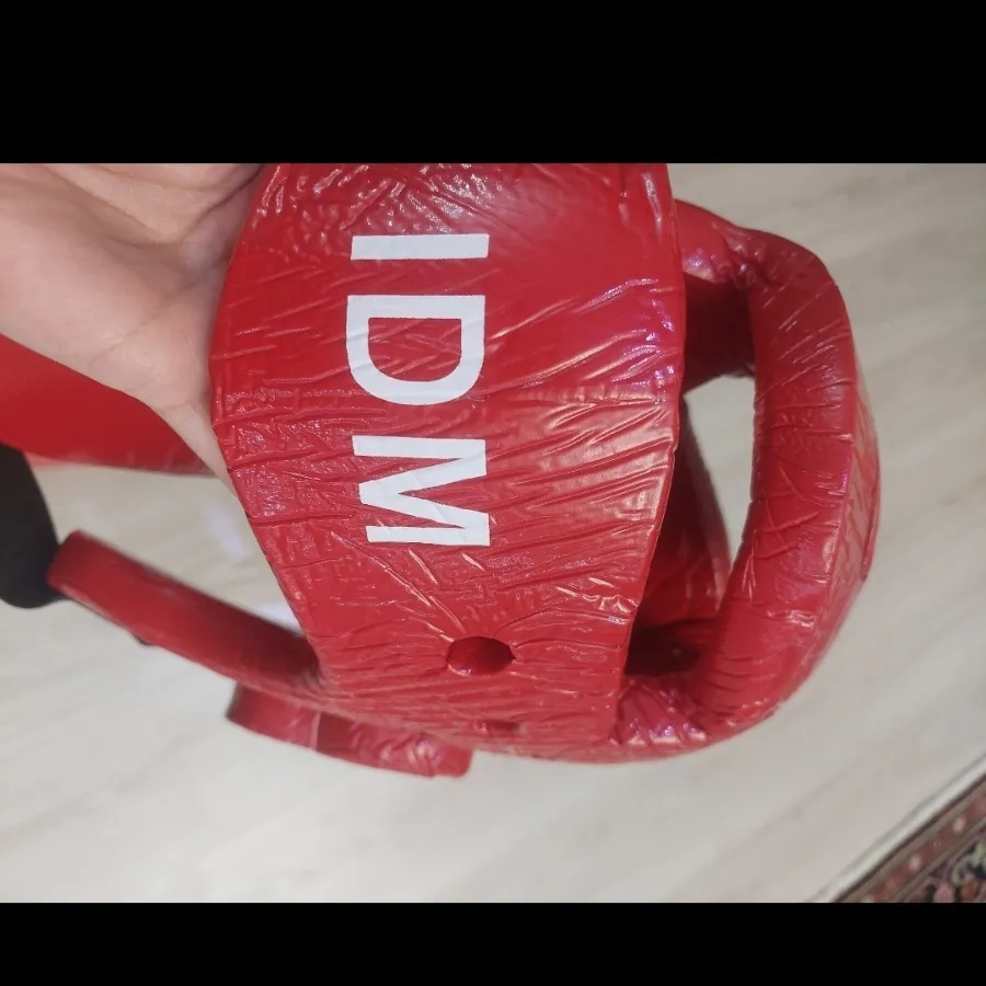 هوگو و کلاه