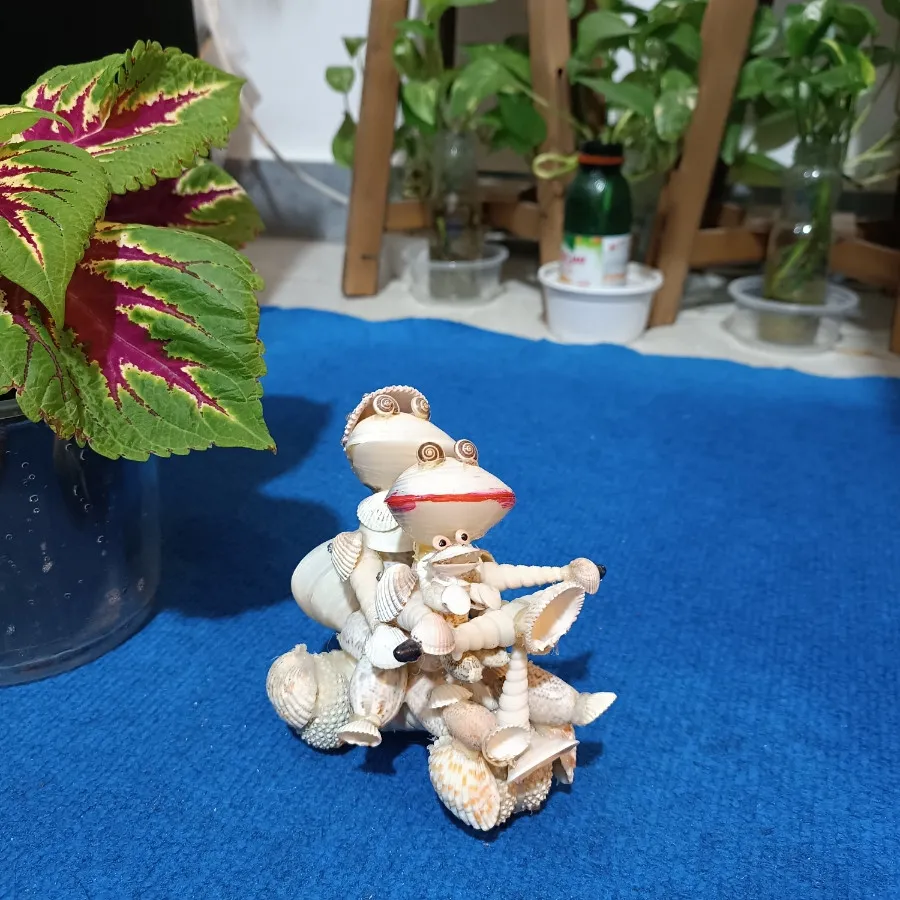 سازه صدفی خانواده قورباغه