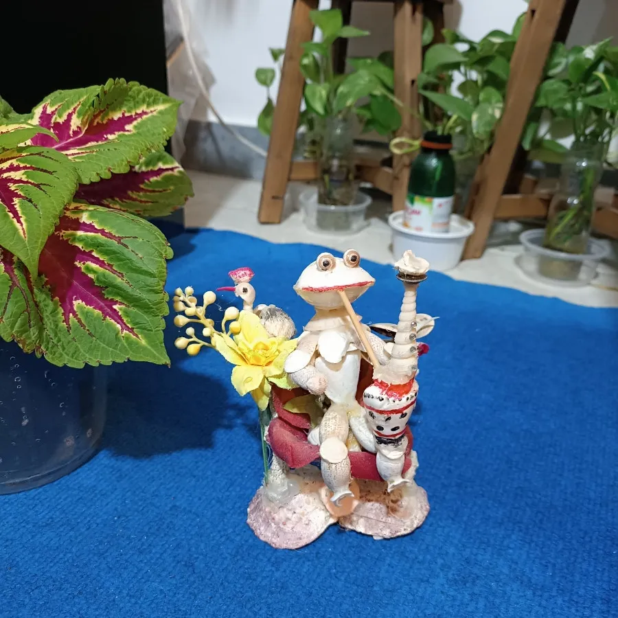 مجسمه صدفی حاجوقلی?