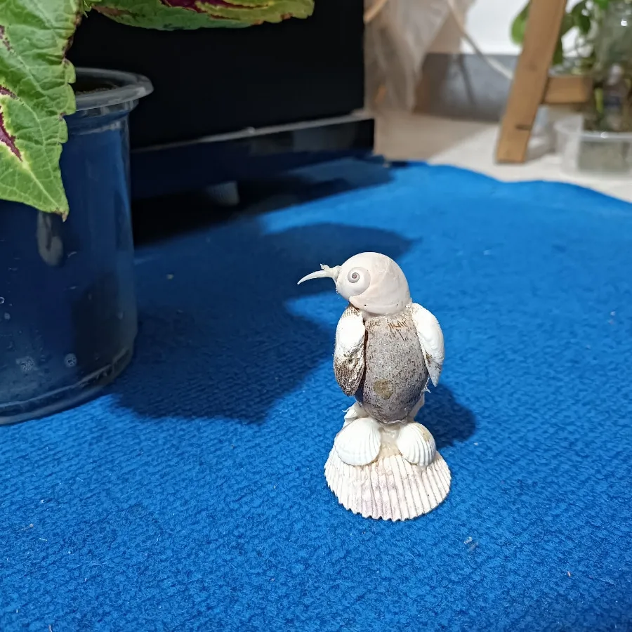 مجسمه صدفی پنگوین خجالتی