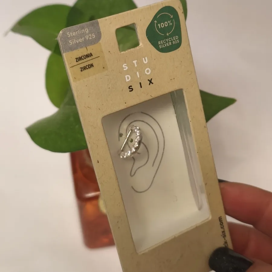 ایرکاف گوش نقره