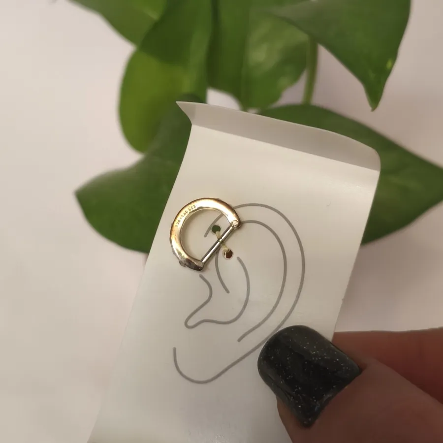 ایرکاف گوش نقره