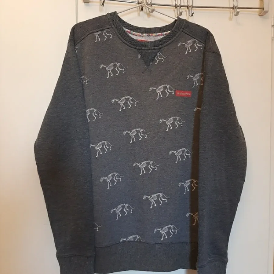 دورس دایناسوری