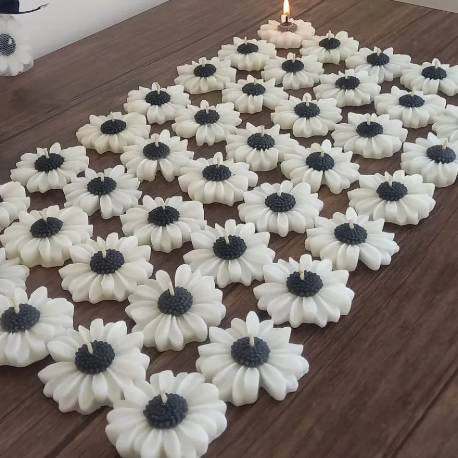 گیفت بابونه