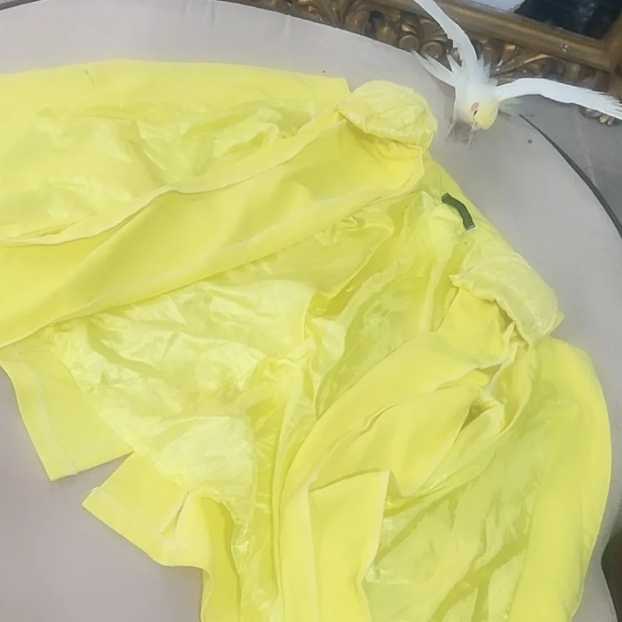 کت زرد زار برند