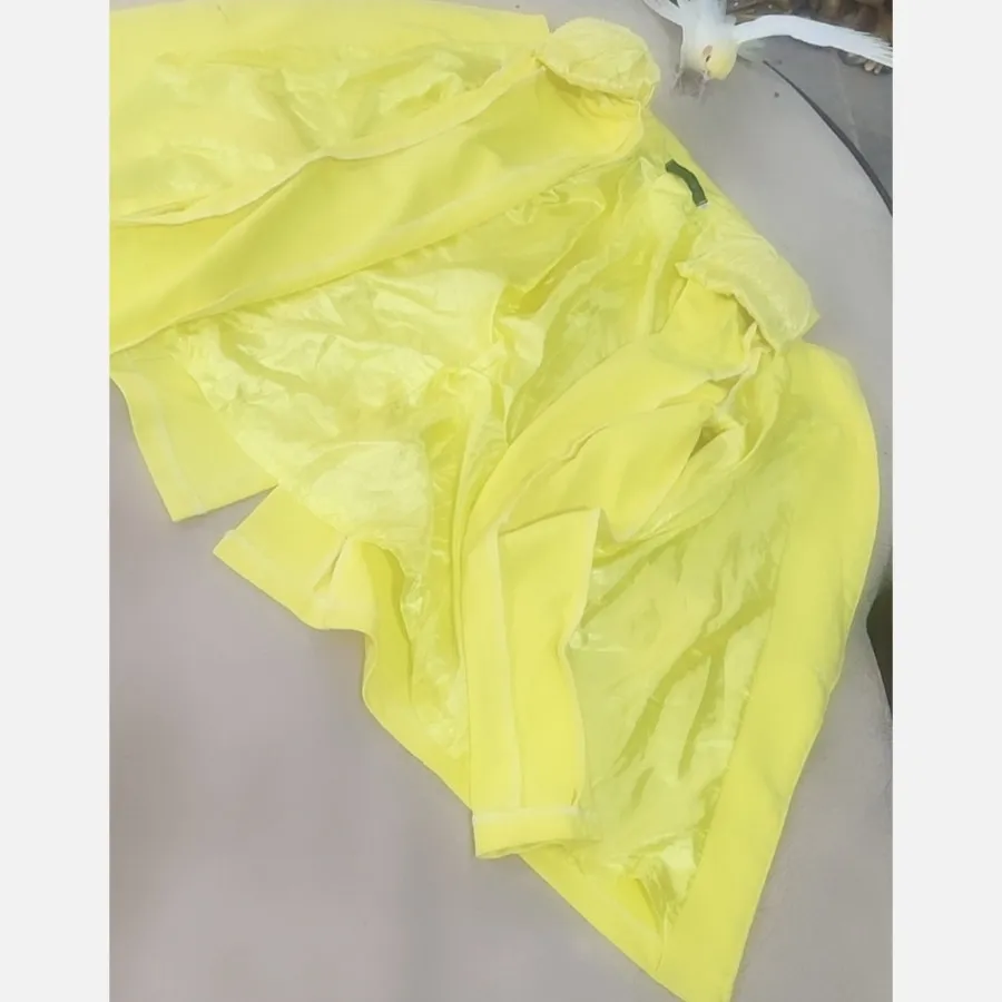 کت زرد زار برند