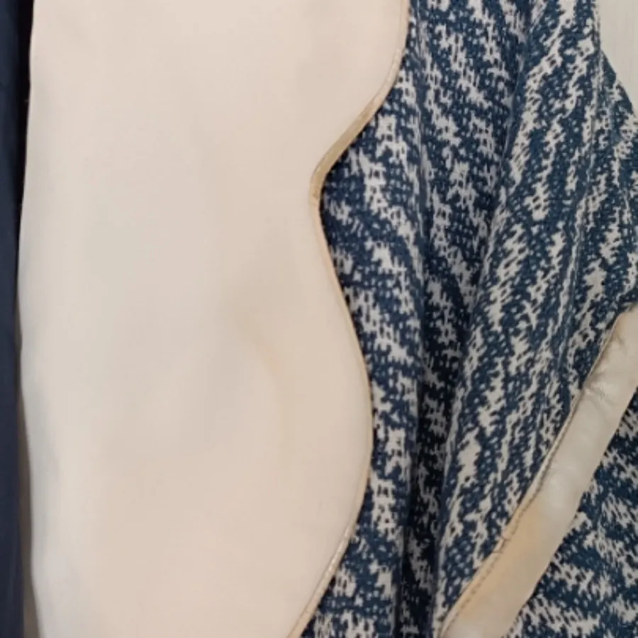 پالتو استردار