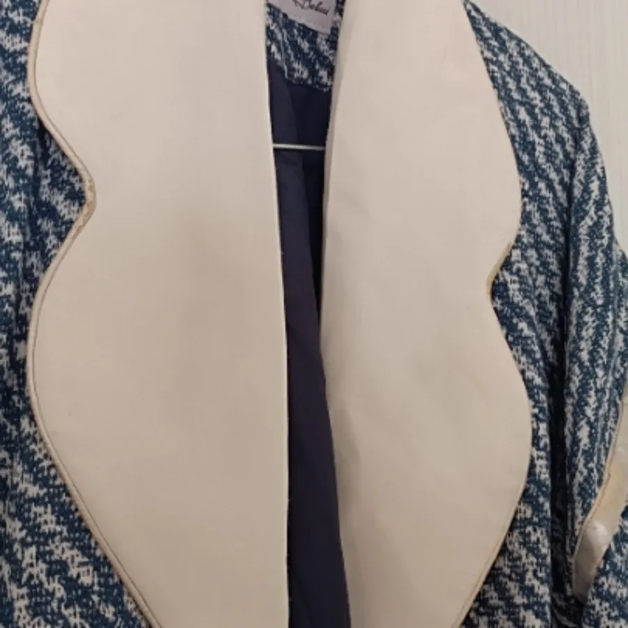 پالتو استردار