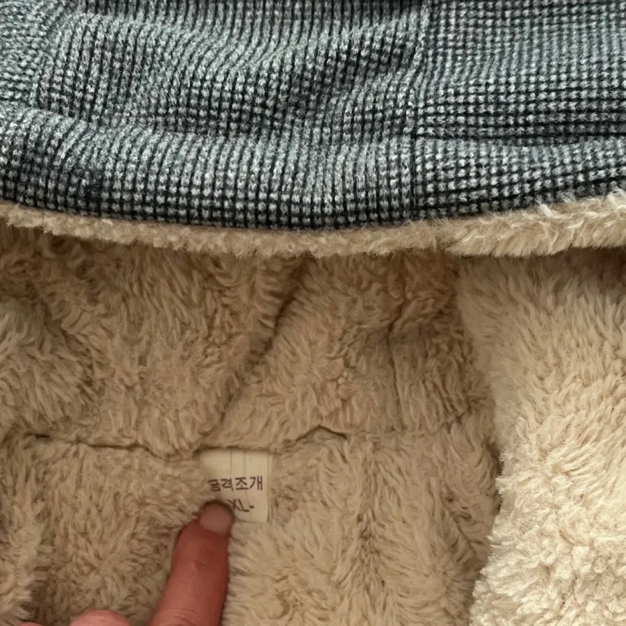 پالتو بچگانه