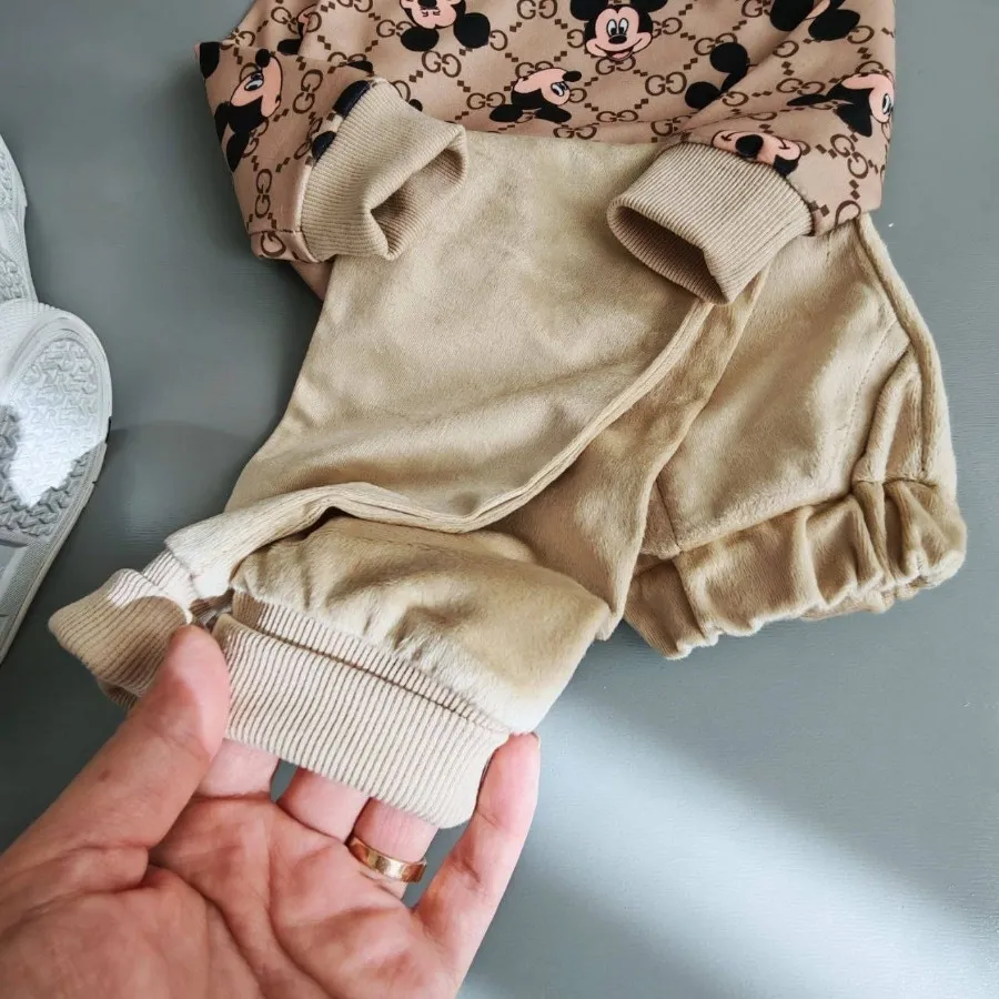 ارسال رایگان