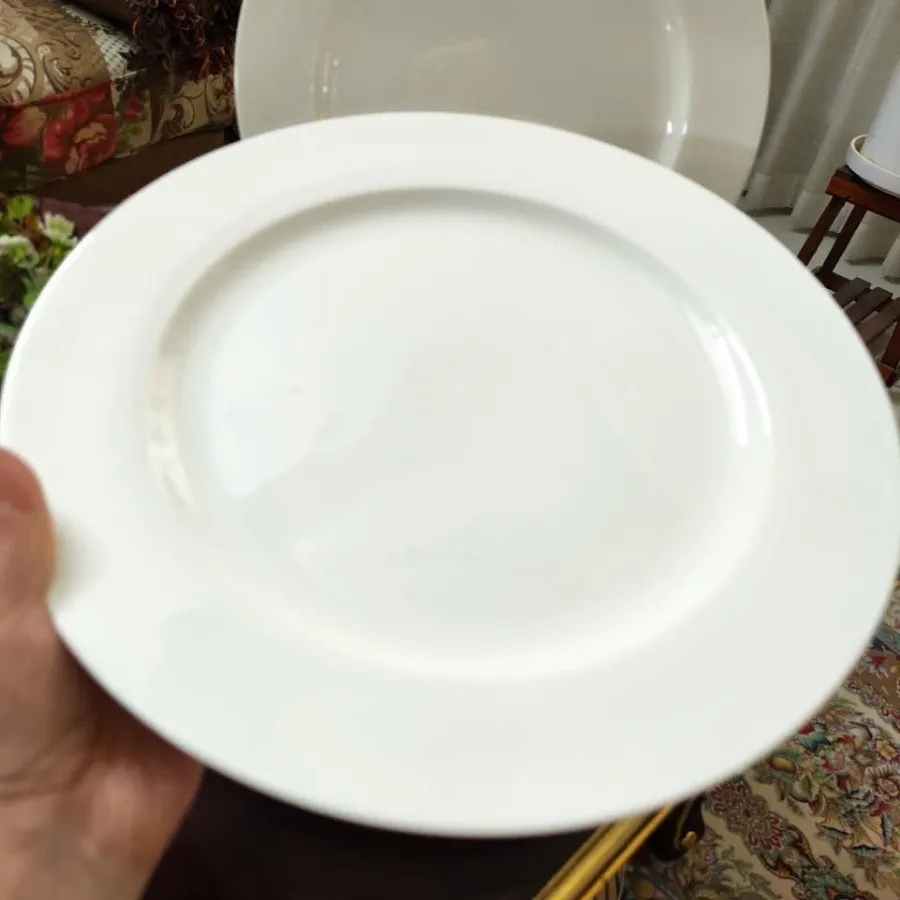 دیس های چینی وارداتی