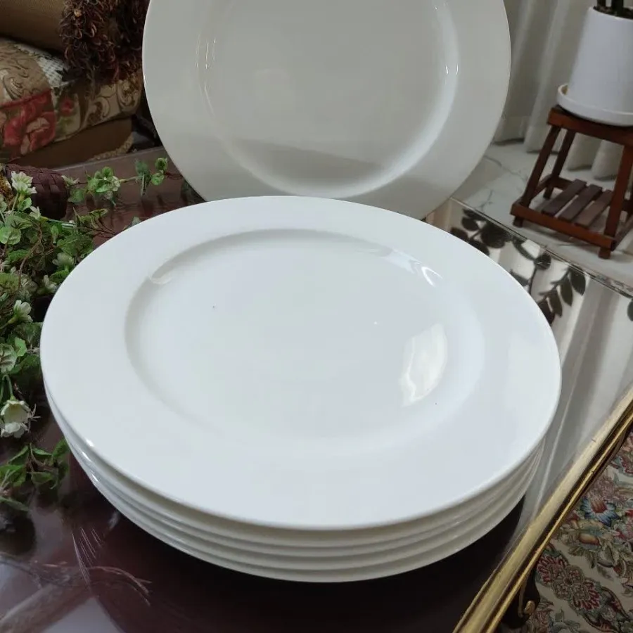 دیس های چینی وارداتی