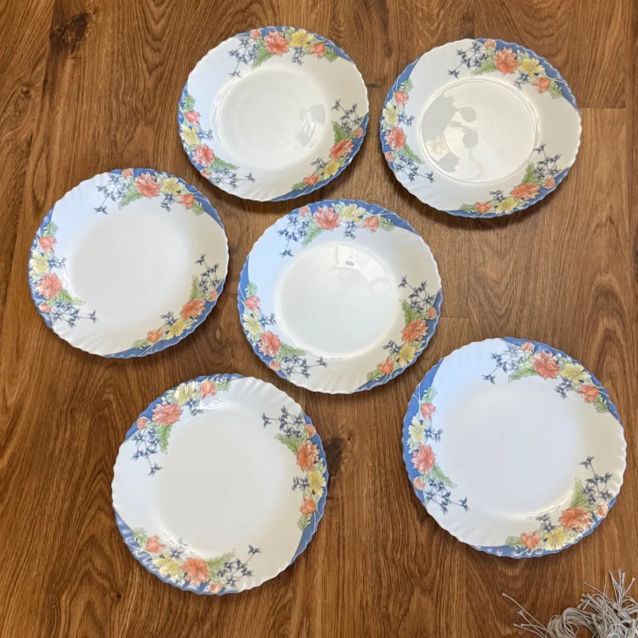 پلوخوری آرکوپال لومینارک