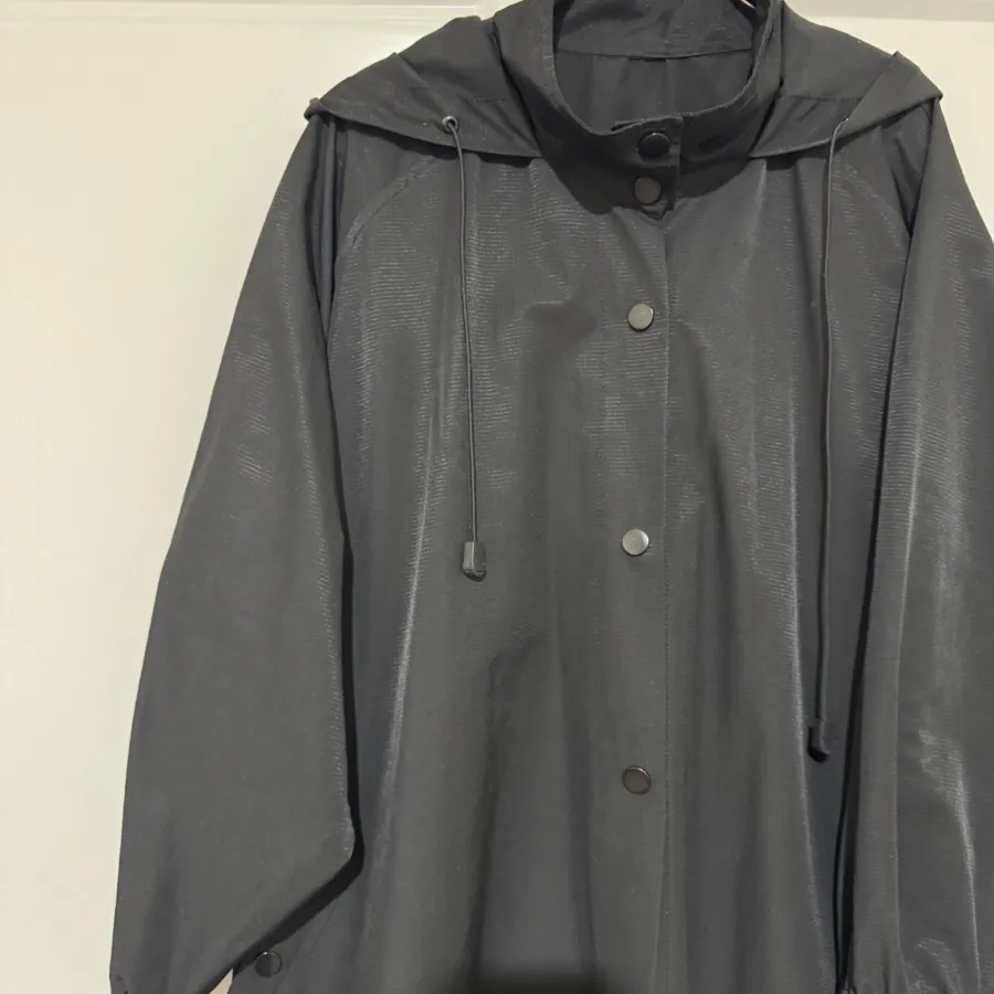 پانچو بارونی