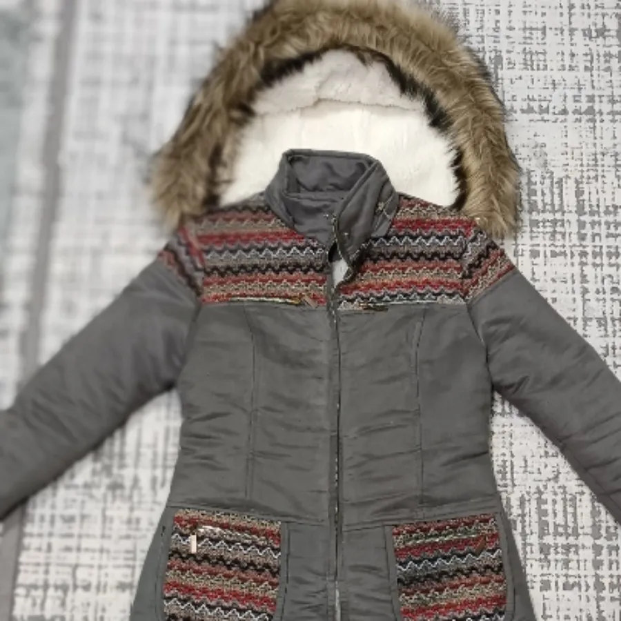 پالتو داخل ببعی