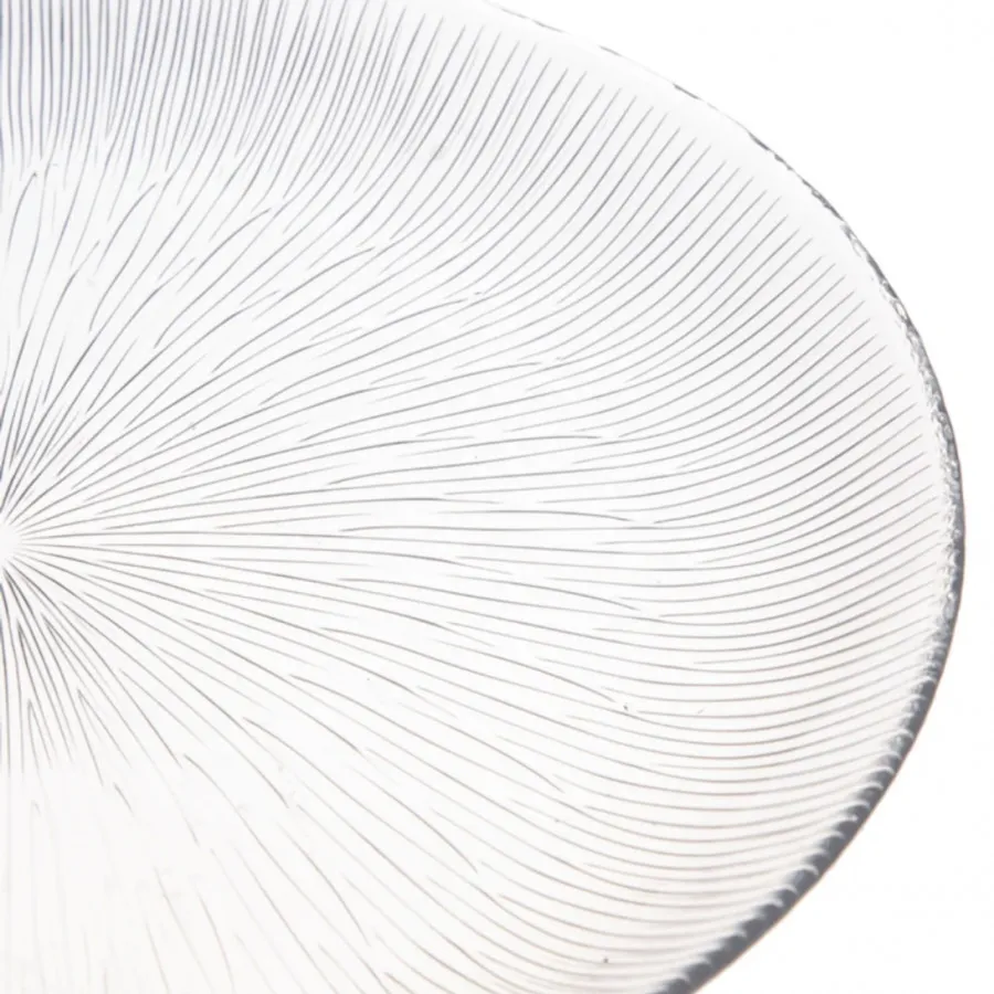 بشقاب غذا خوری