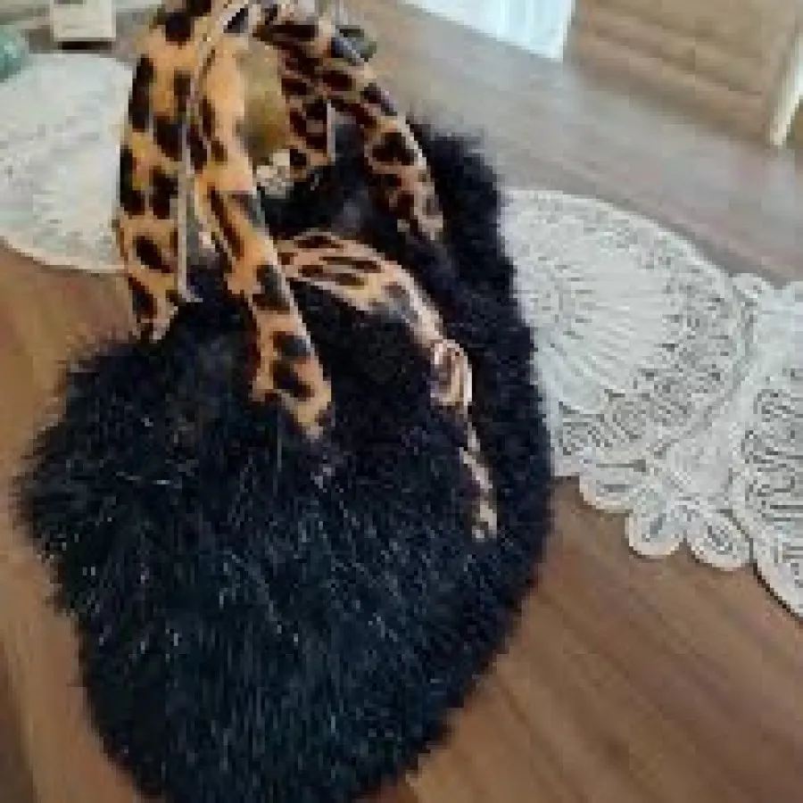 کیف تدی پلنگی