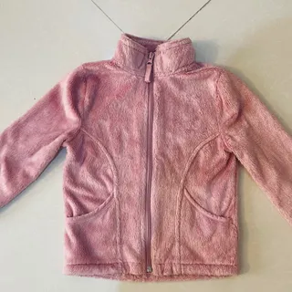 سویی شرت تدی