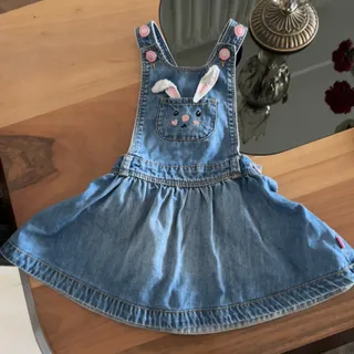 سارافون جین ال سی