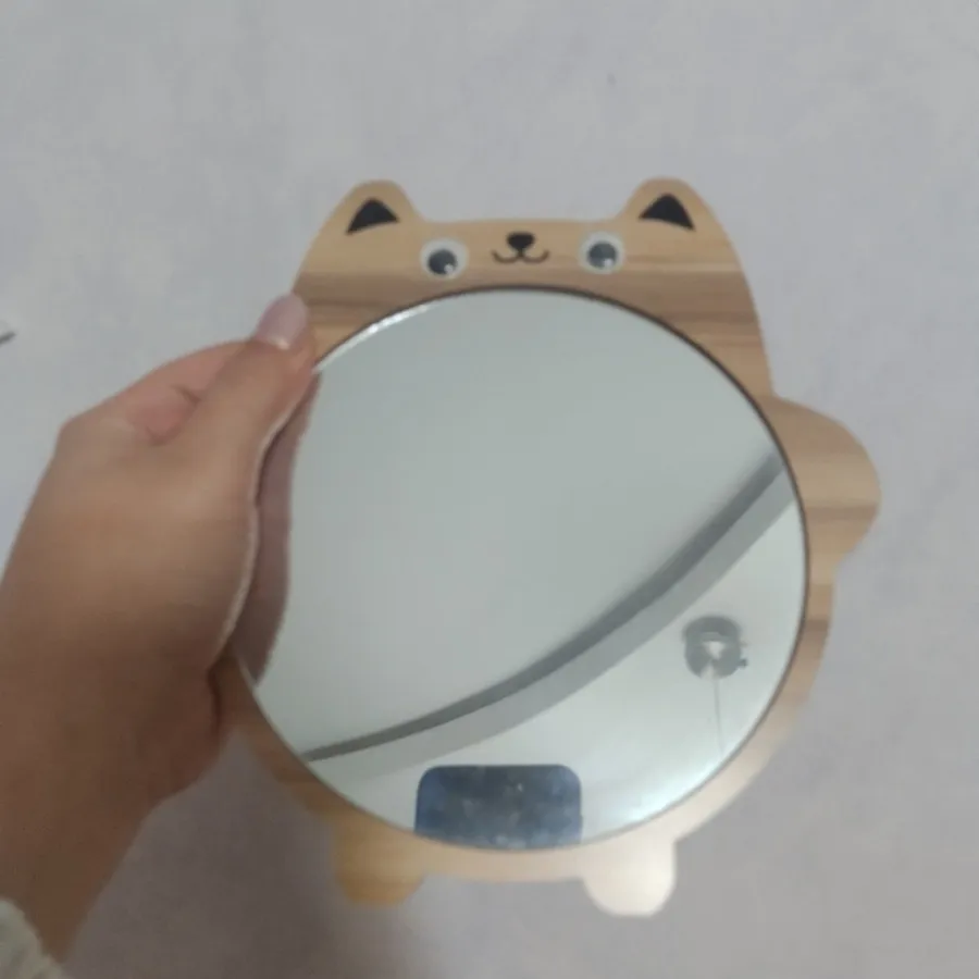 اینه ی گربه ای