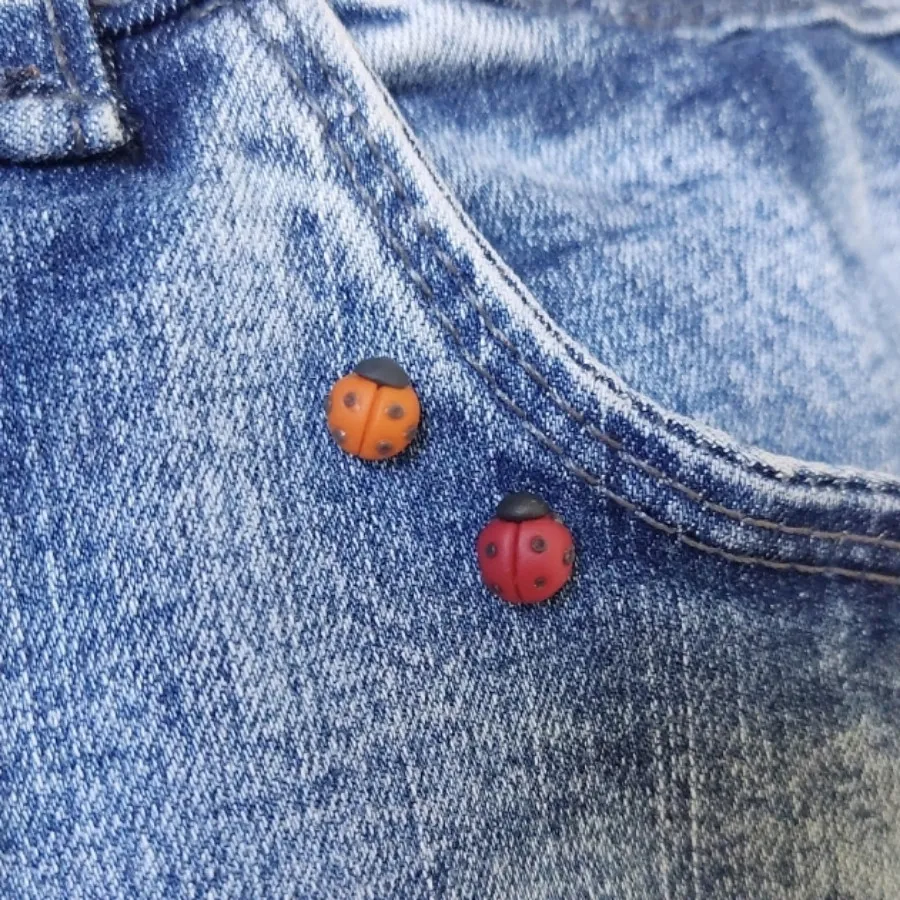 پین کیف و لباس کفشدوزک