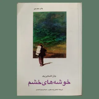 کتاب خوشه‌های خشم