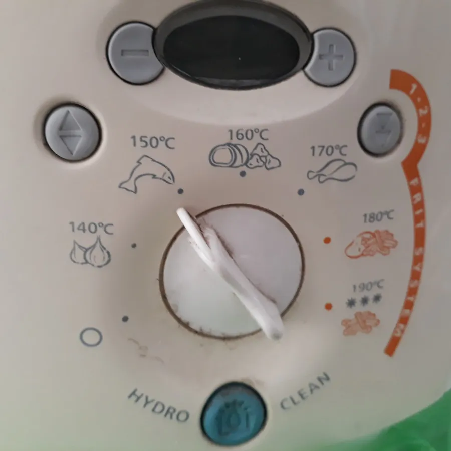 سرخ کن مولینکس با روغن