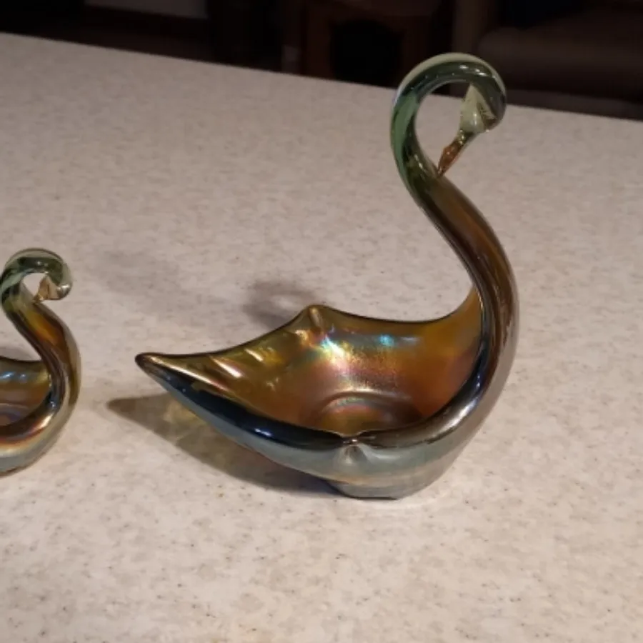 قو با جوجه هاش