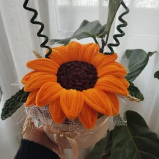 باکس آفتابگردون