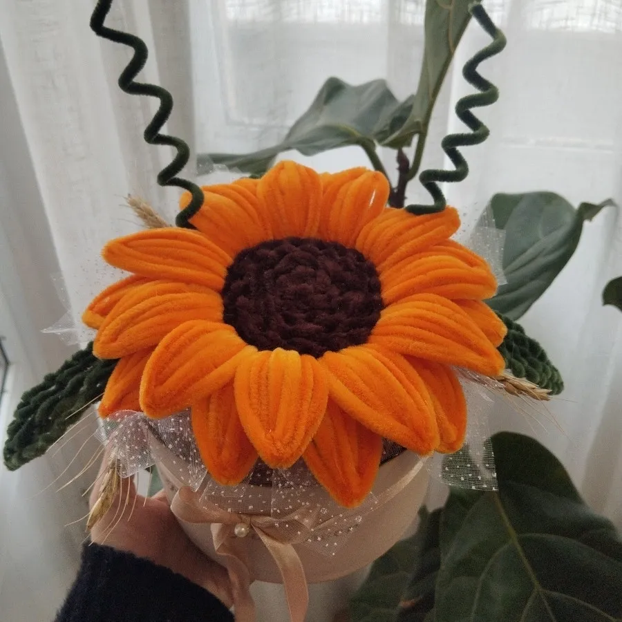 باکس آفتابگردون