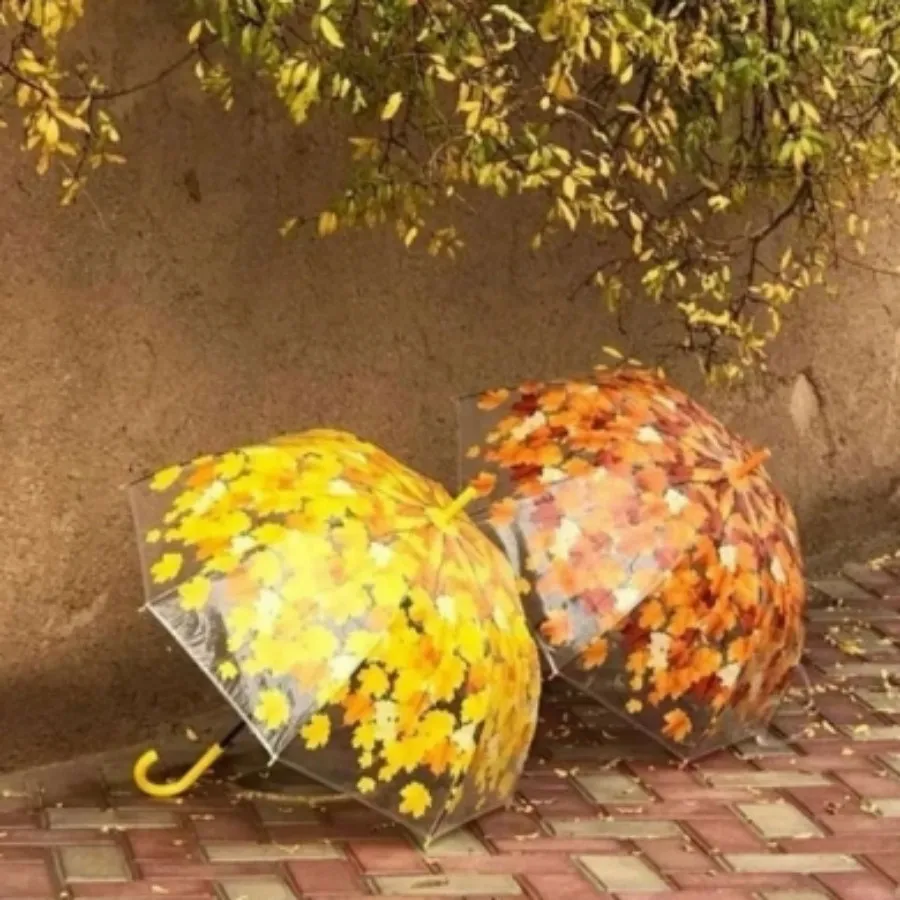 چتر برگ پاییزی