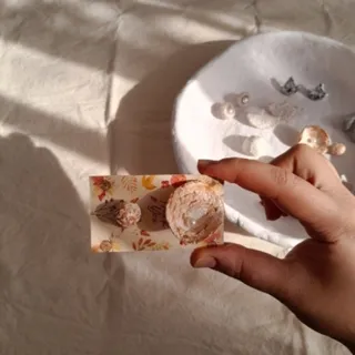 گوشواره زیور الات