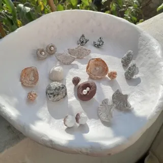 گوشواره  زیور آلات