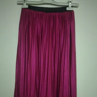 دامن استردار