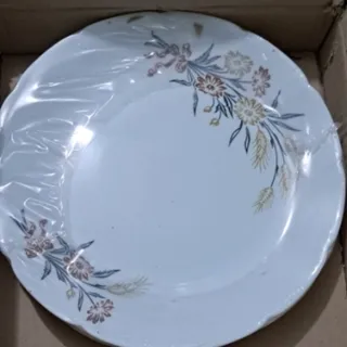 سرویس  آرکوپال